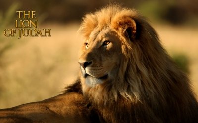 Lion-Of-Judah